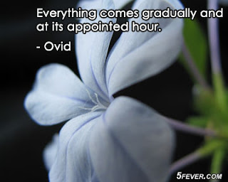 Romeo and Juliet Essay - Essays - eNotes com